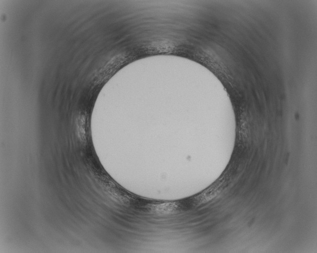 X0000060550122200512011626