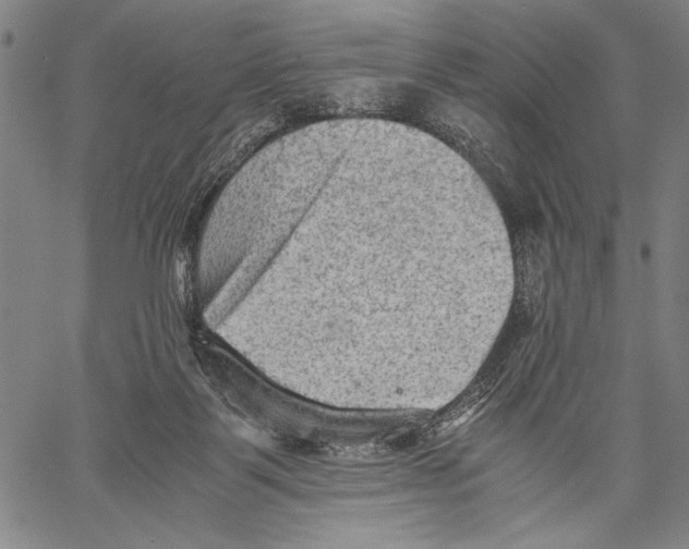 X0000060550123200512011626