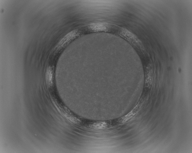 X0000060550124200512011626