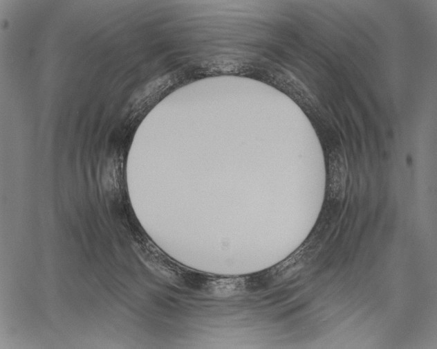 X0000060550126200512011626