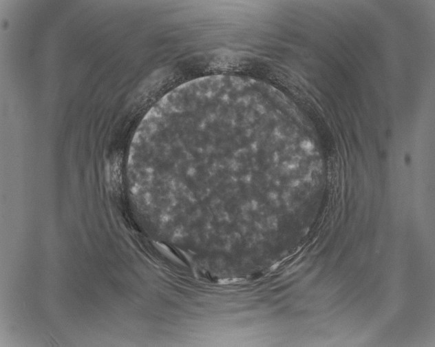 X0000060550127200512011626