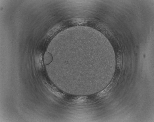 X0000060550128200512011626