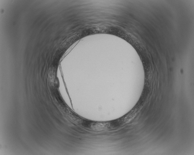 X0000060550129200512011626