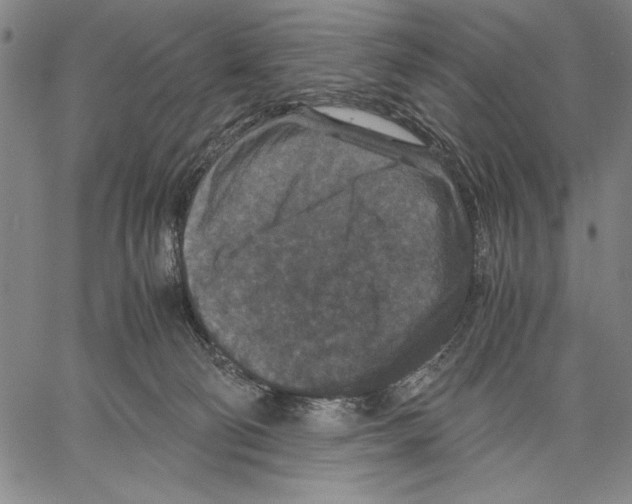 X0000060550130200512011626