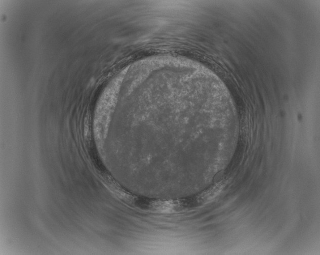 X0000060550131200512011626