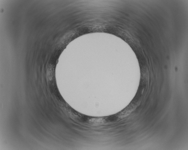 X0000060550133200512011626