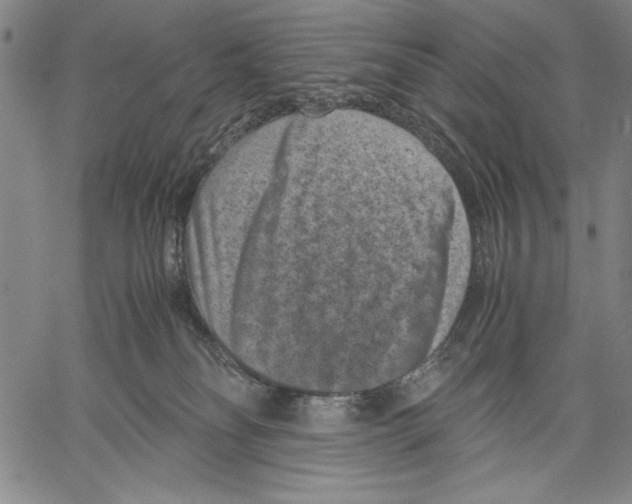 X0000060550134200512011626