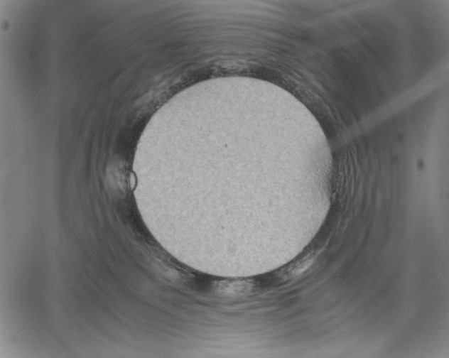 X0000060550135200512011626