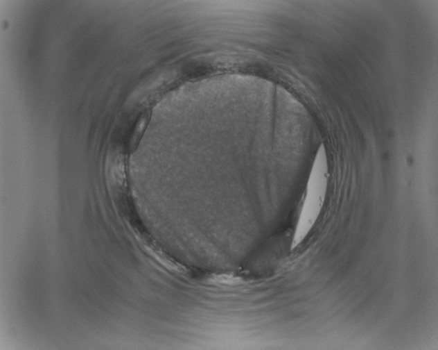 X0000060550137200512011626