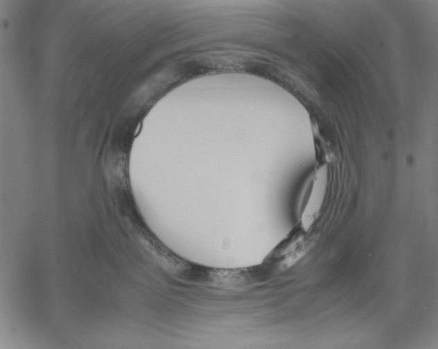 X0000060550141200512011626