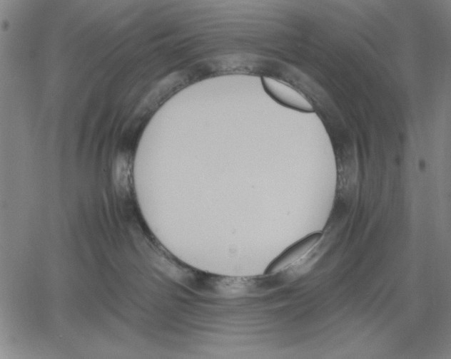 X0000060550142200512011626