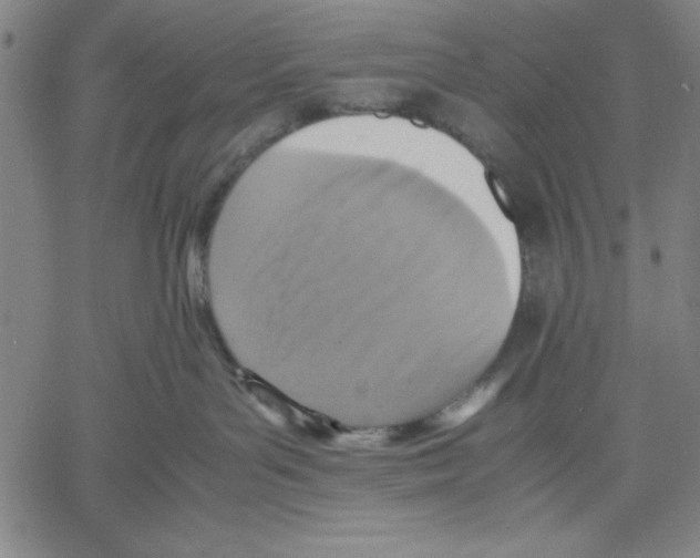 X0000060550143200512011626