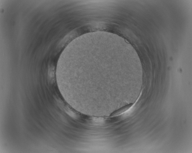 X0000060550144200512011626