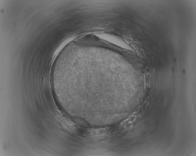 X0000060550147200512011625