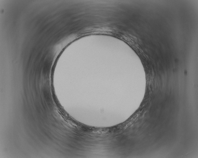 X0000060550148200512011625