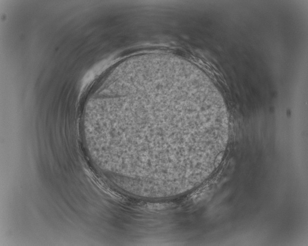 X0000060550149200512011625