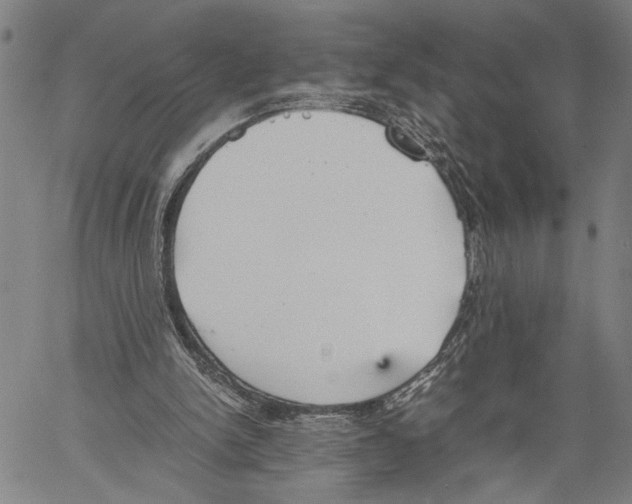 X0000060550150200512011625