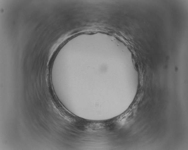 X0000060550152200512011625