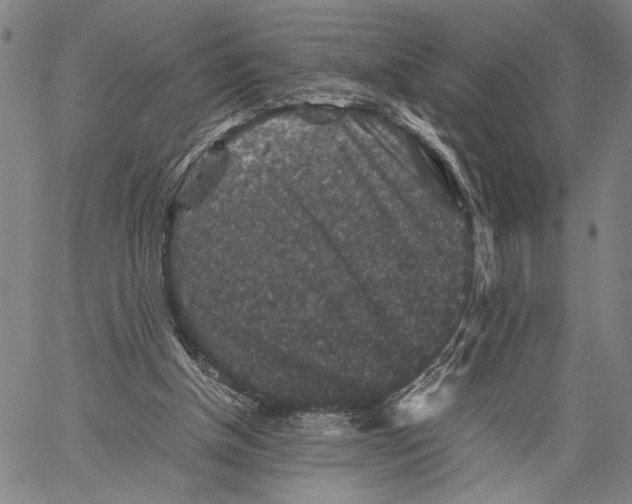 X0000060550154200512011625