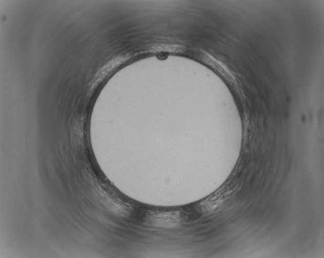 X0000060550155200512011625