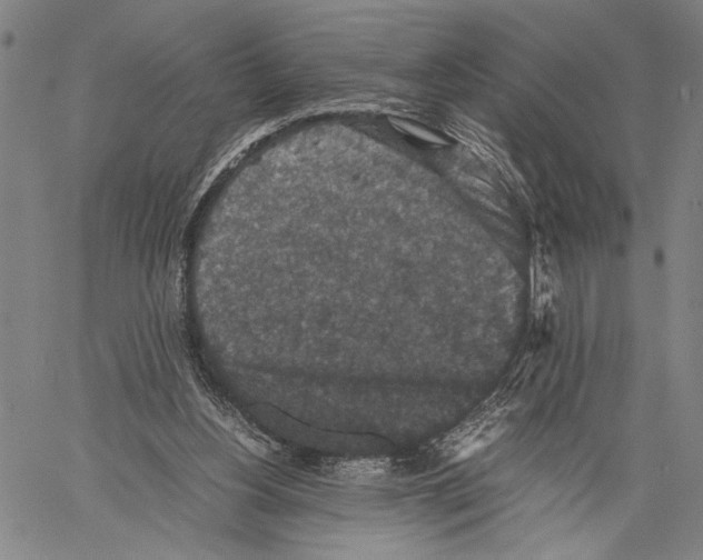 X0000060550156200512011625