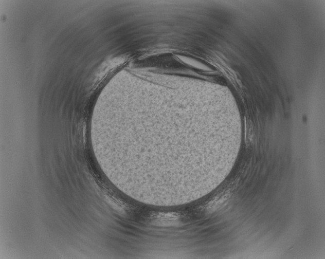 X0000060550157200512011625