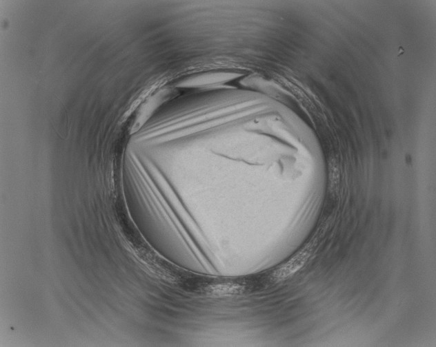 X0000060550158200512011625