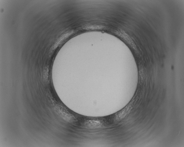 X0000060550159200512011625