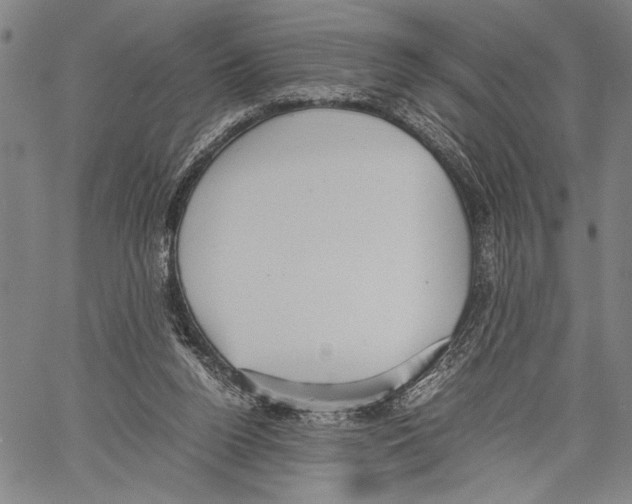 X0000060550160200512011625