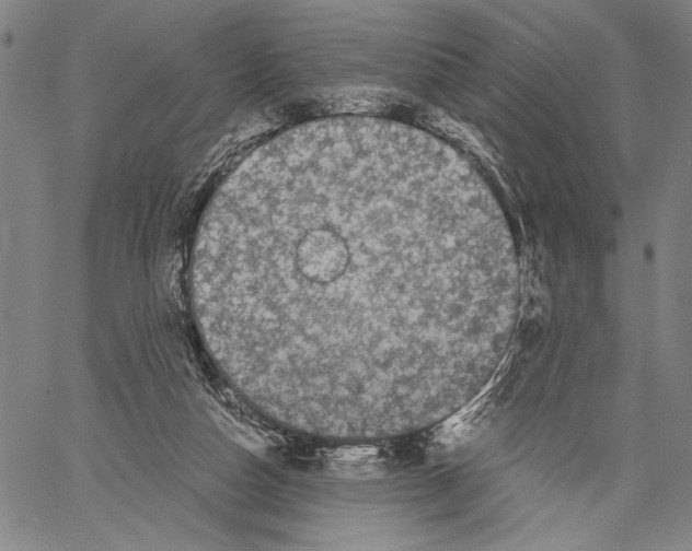 X0000060550162200512011625