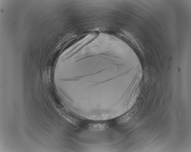 X0000060550163200512011625