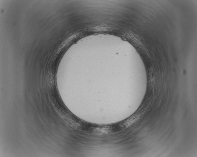 X0000060550164200512011625