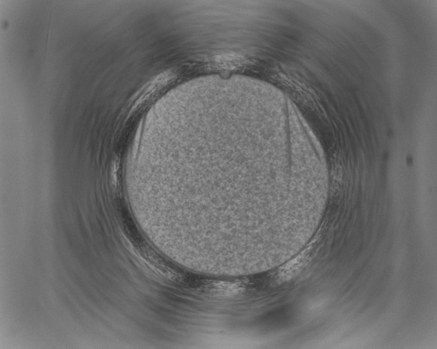 X0000060550166200512011625