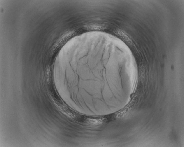 X0000060550167200512011625