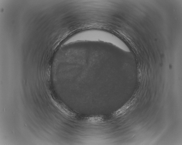 X0000060550168200512011625