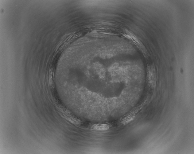 X0000060550169200512011625