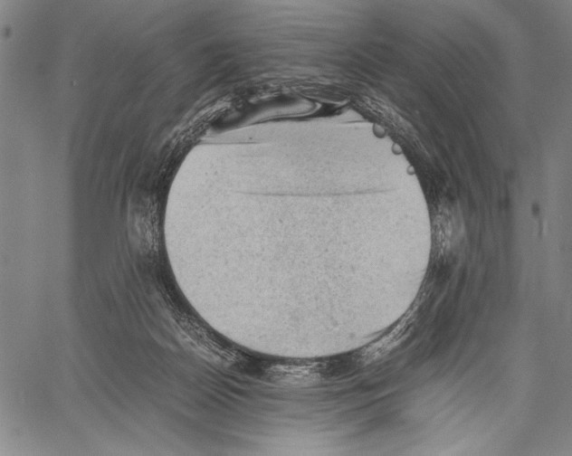 X0000060550170200512011625