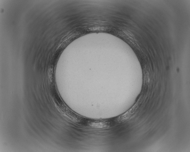 X0000060550171200512011625