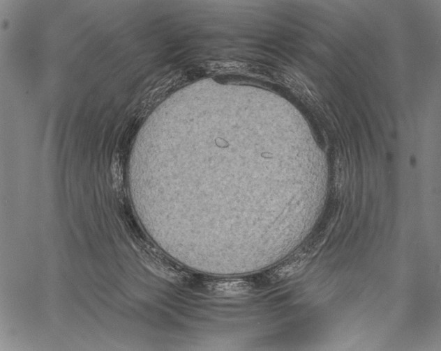 X0000060550173200512011625