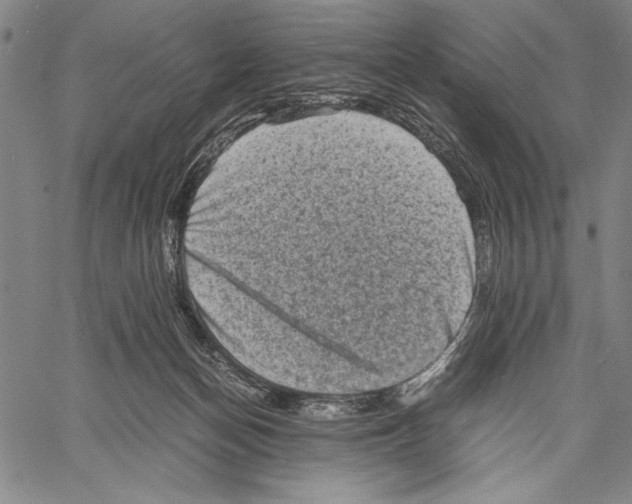 X0000060550174200512011625