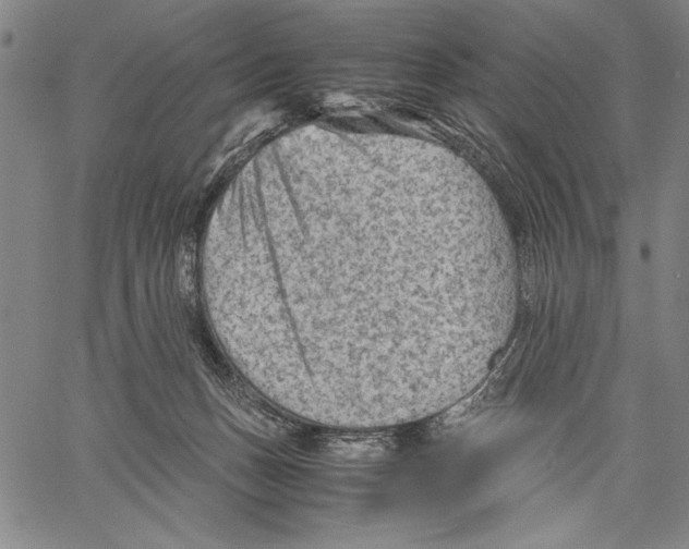 X0000060550175200512011625