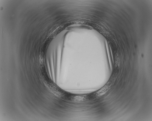 X0000060550176200512011625