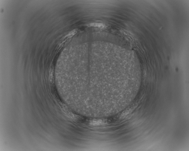 X0000060550177200512011625