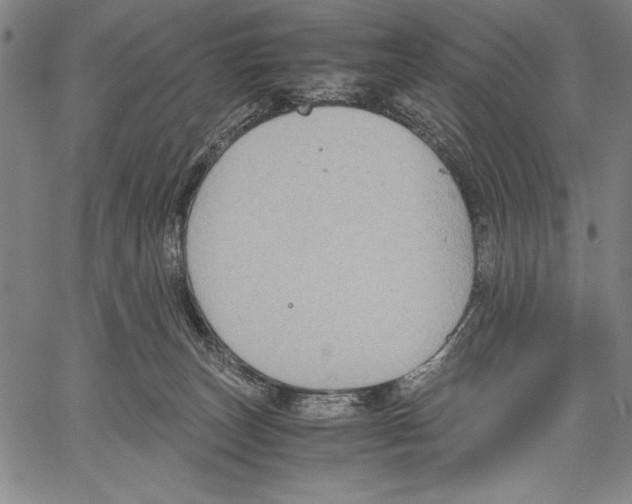 X0000060550179200512011625