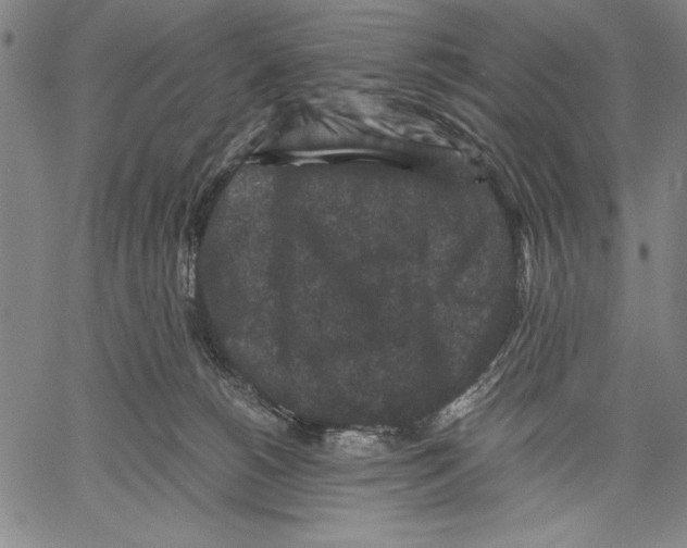 X0000060550180200512011625