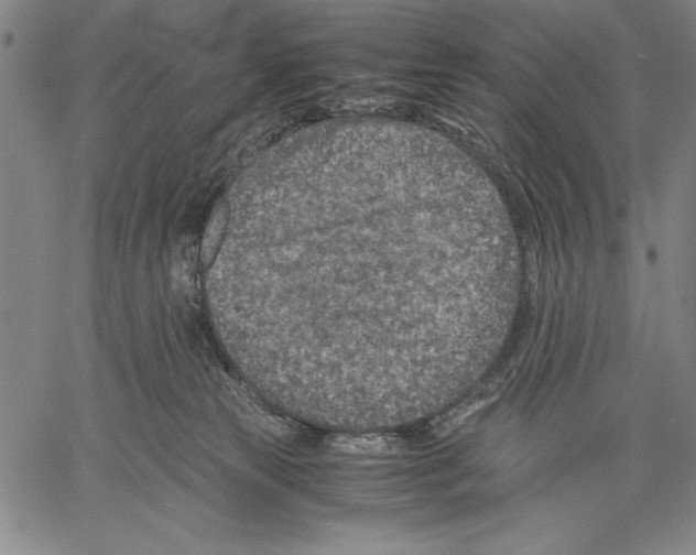 X0000060550181200512011625