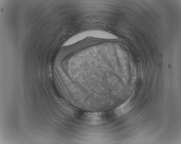 X0000060550182200512011625