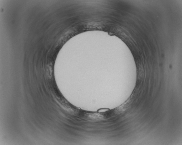 X0000060550183200512011625