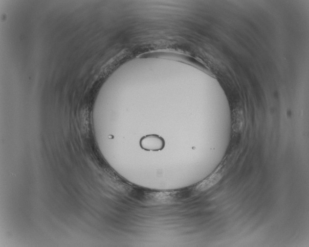 X0000060550184200512011626