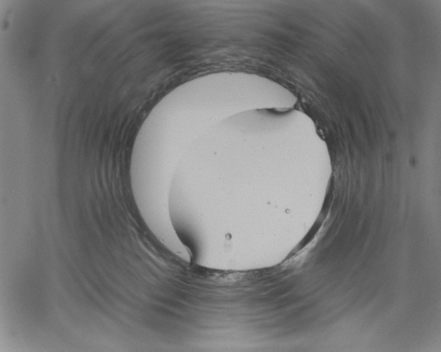 X0000060550186200512011626